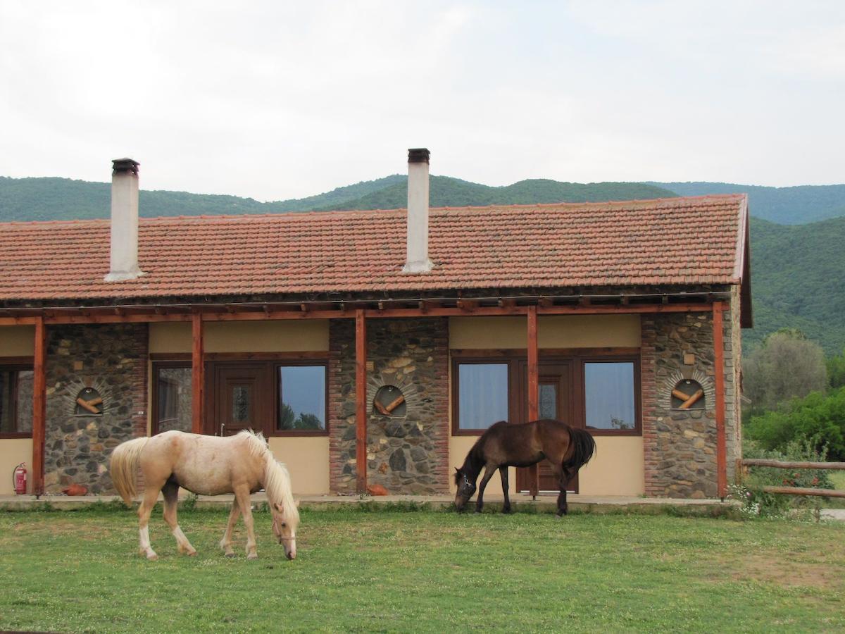 Ihnilatis Kerkíni Exterior foto